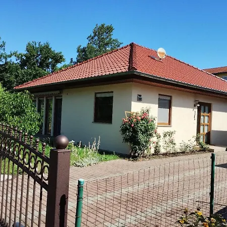 Naehe Kulkwitzer *